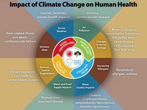 Climate and Health Infographic