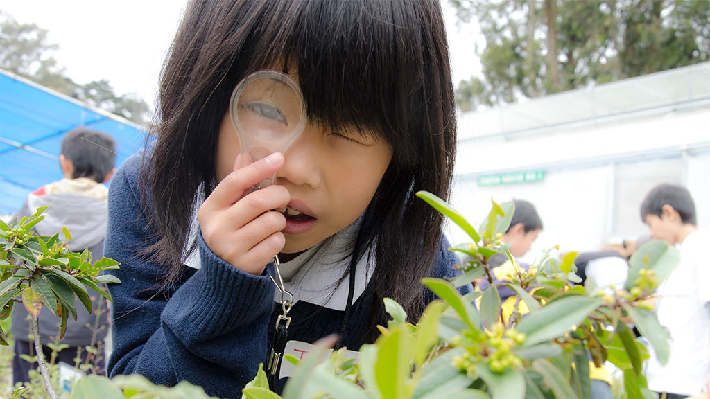 Girl with magnifying glass