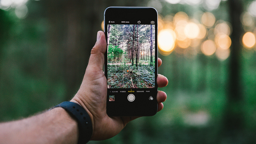 Hand holding cell phone in front of a backdrop of trees.