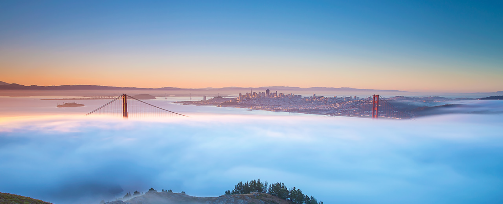 Homepage Institute At Golden Gate